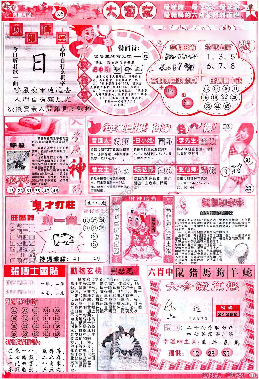 大当家