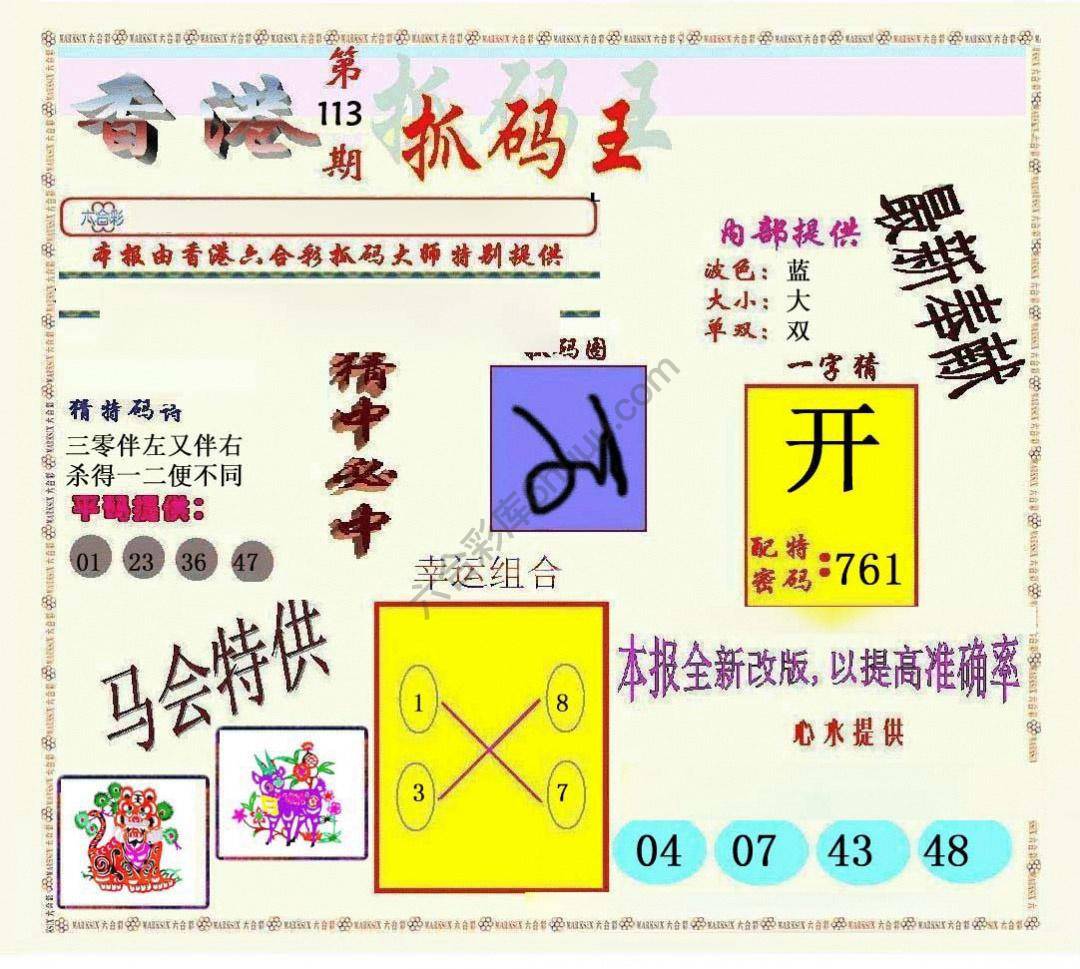 新抓码王