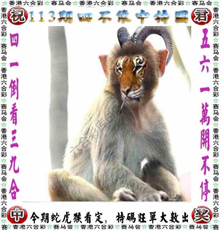 四不像中特图