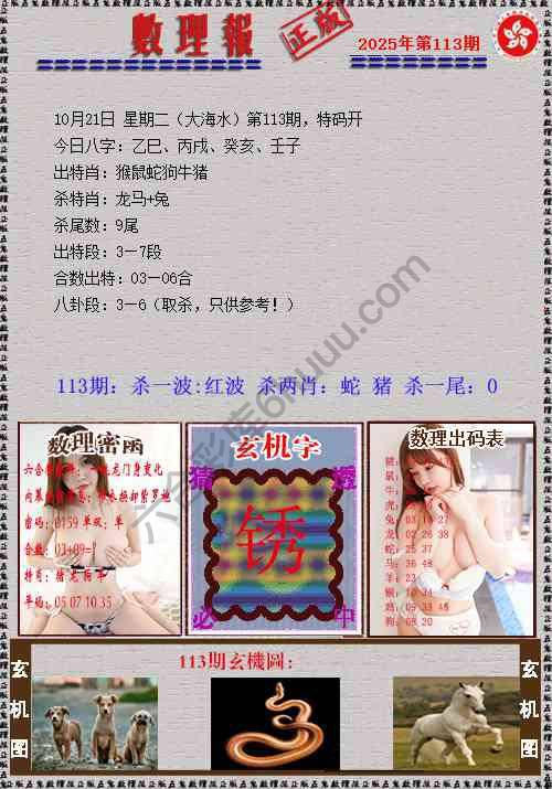 数理报