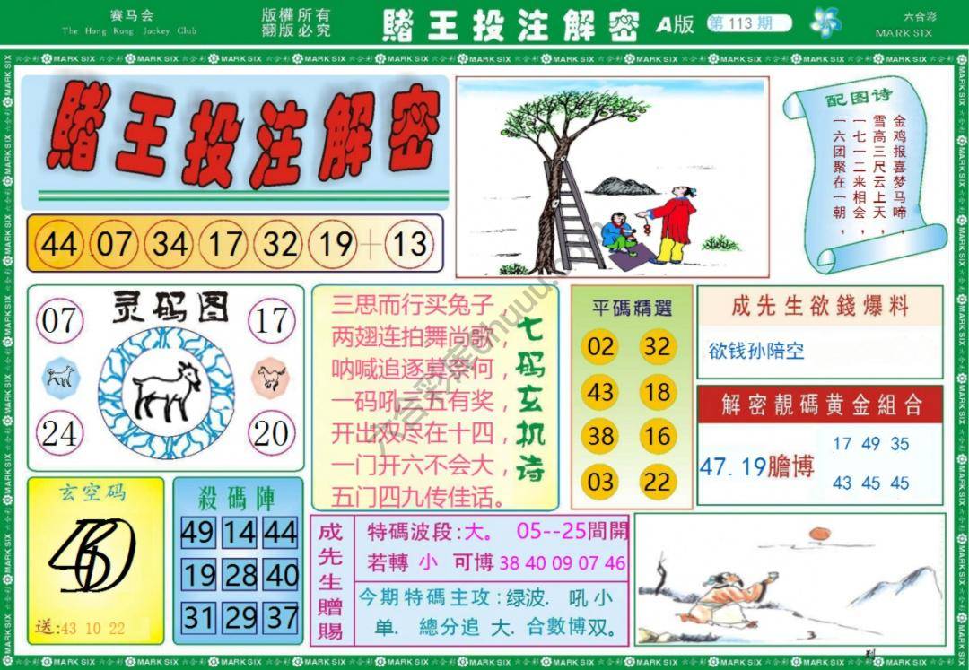 赌王投注解密