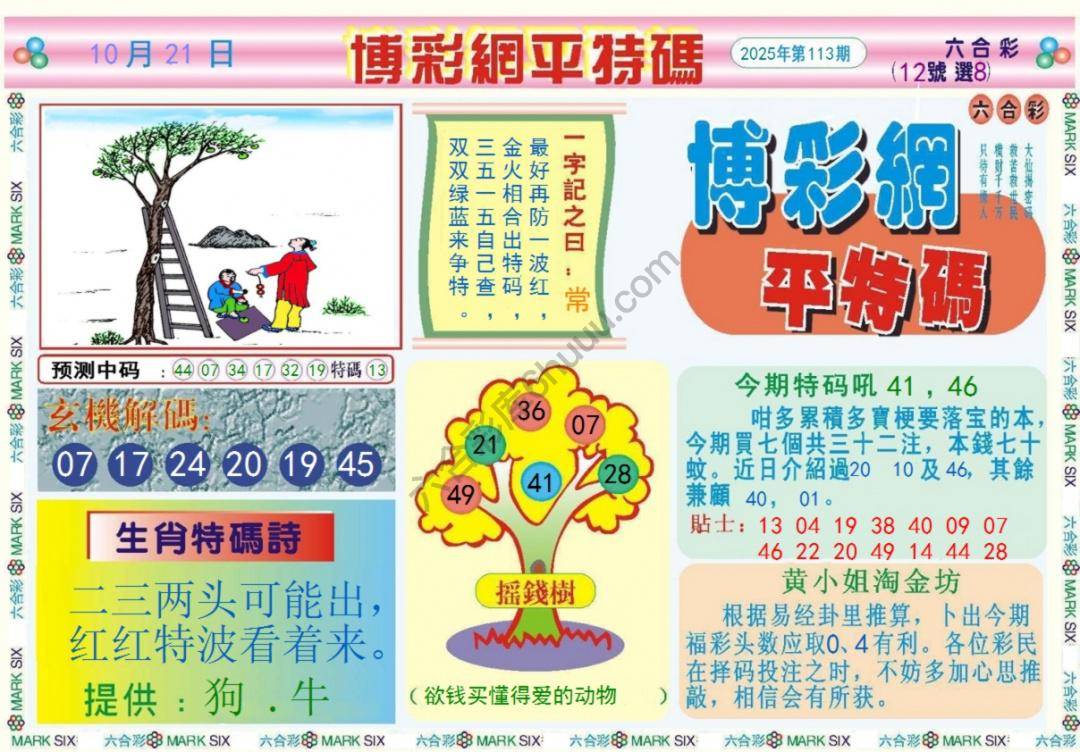 博彩网平特码