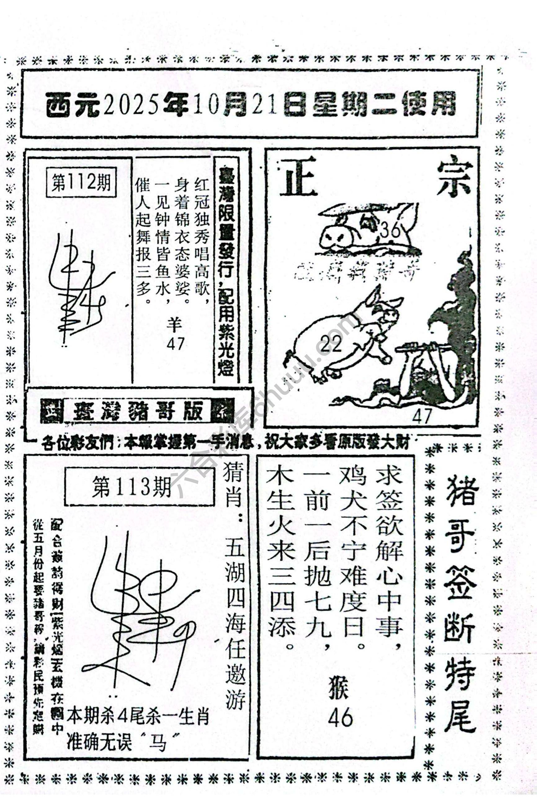 猪哥签断特尾