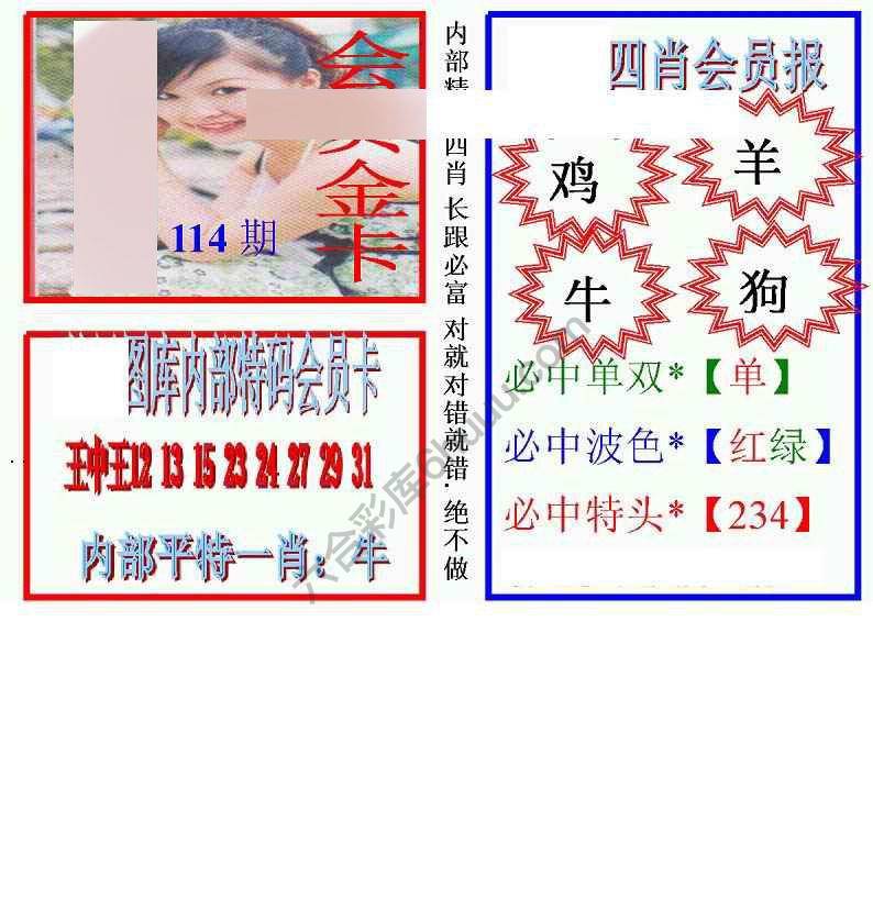 马经四肖会员报