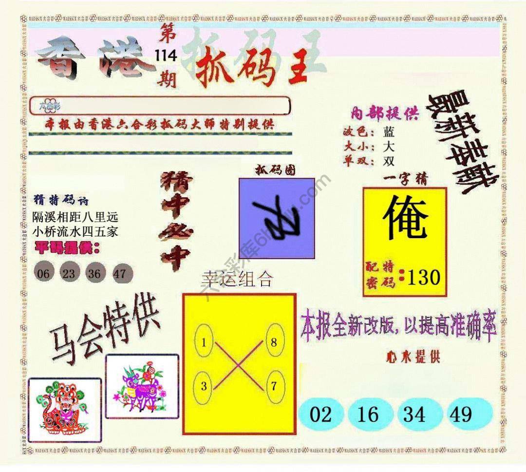 新抓码王