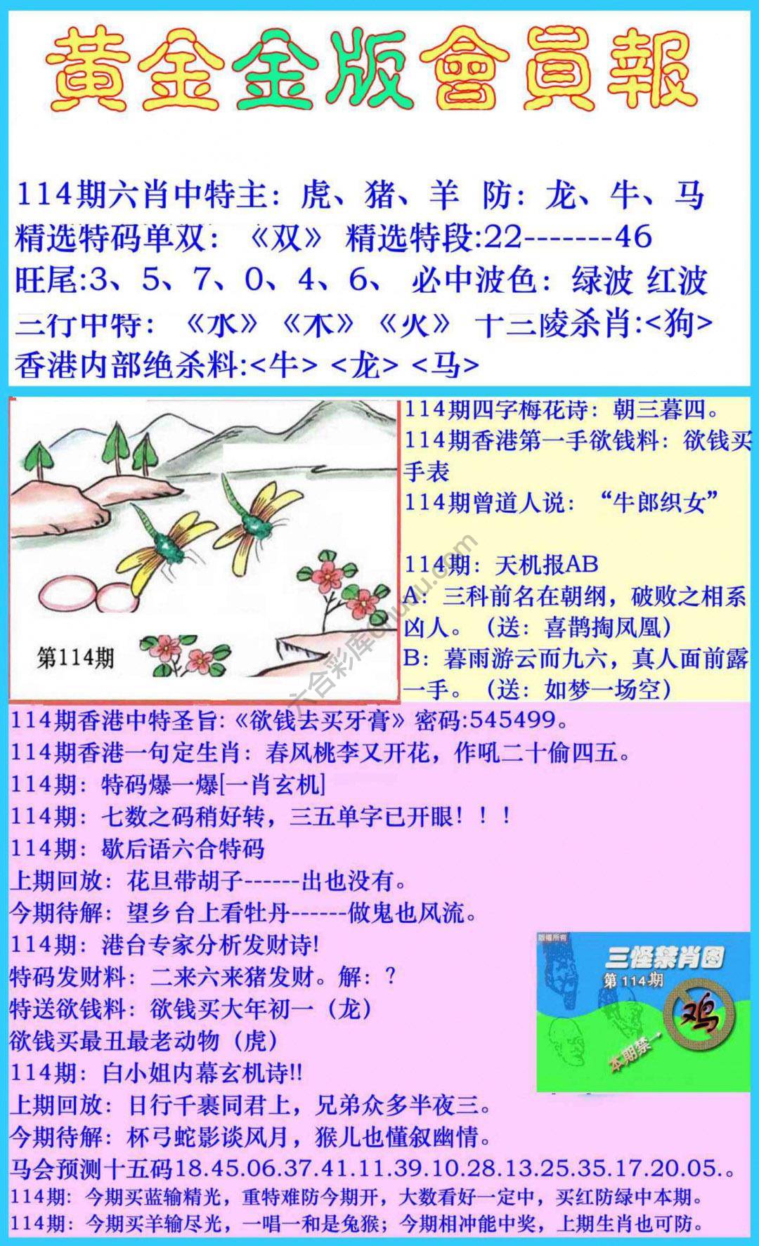 黄金金版会员报