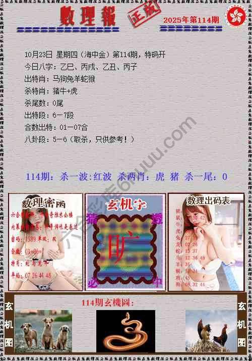 数理报