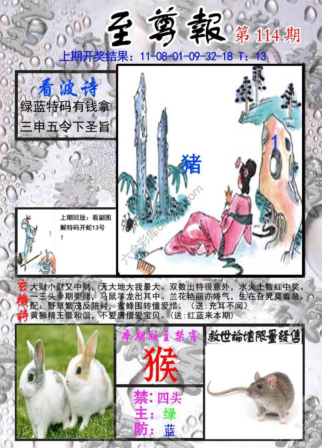 至尊报