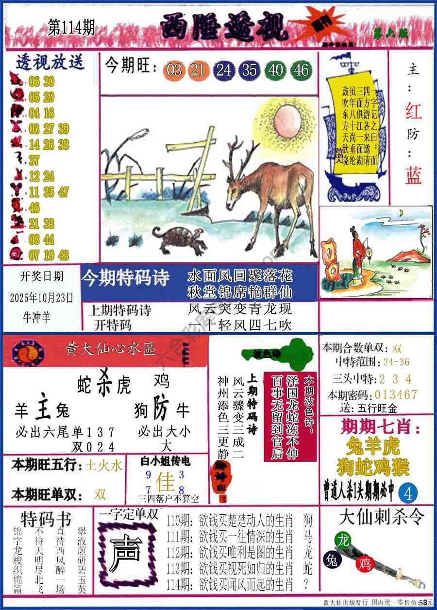 西陲透视（正版）