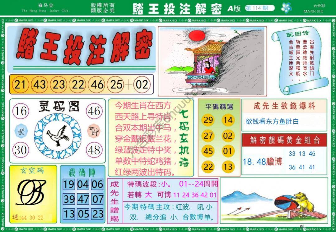 赌王投注解密