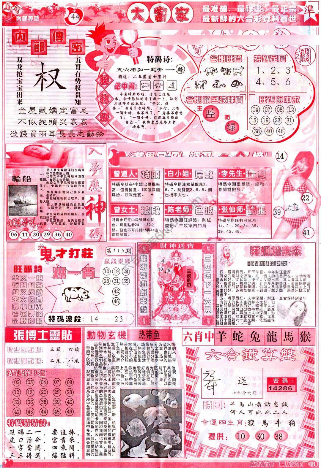 大当家