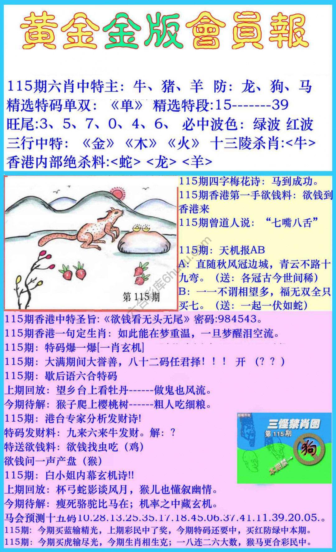 黄金金版会员报
