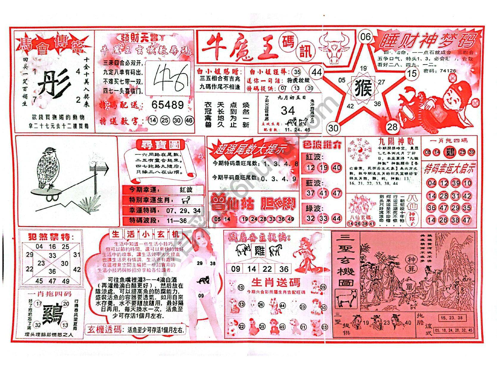 牛魔王码讯