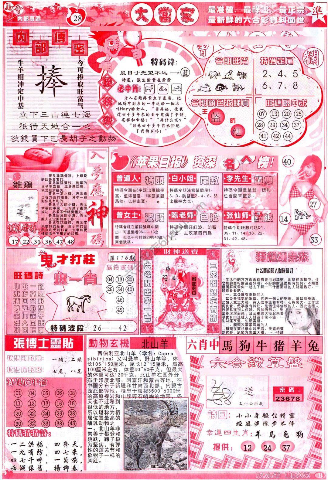 大当家