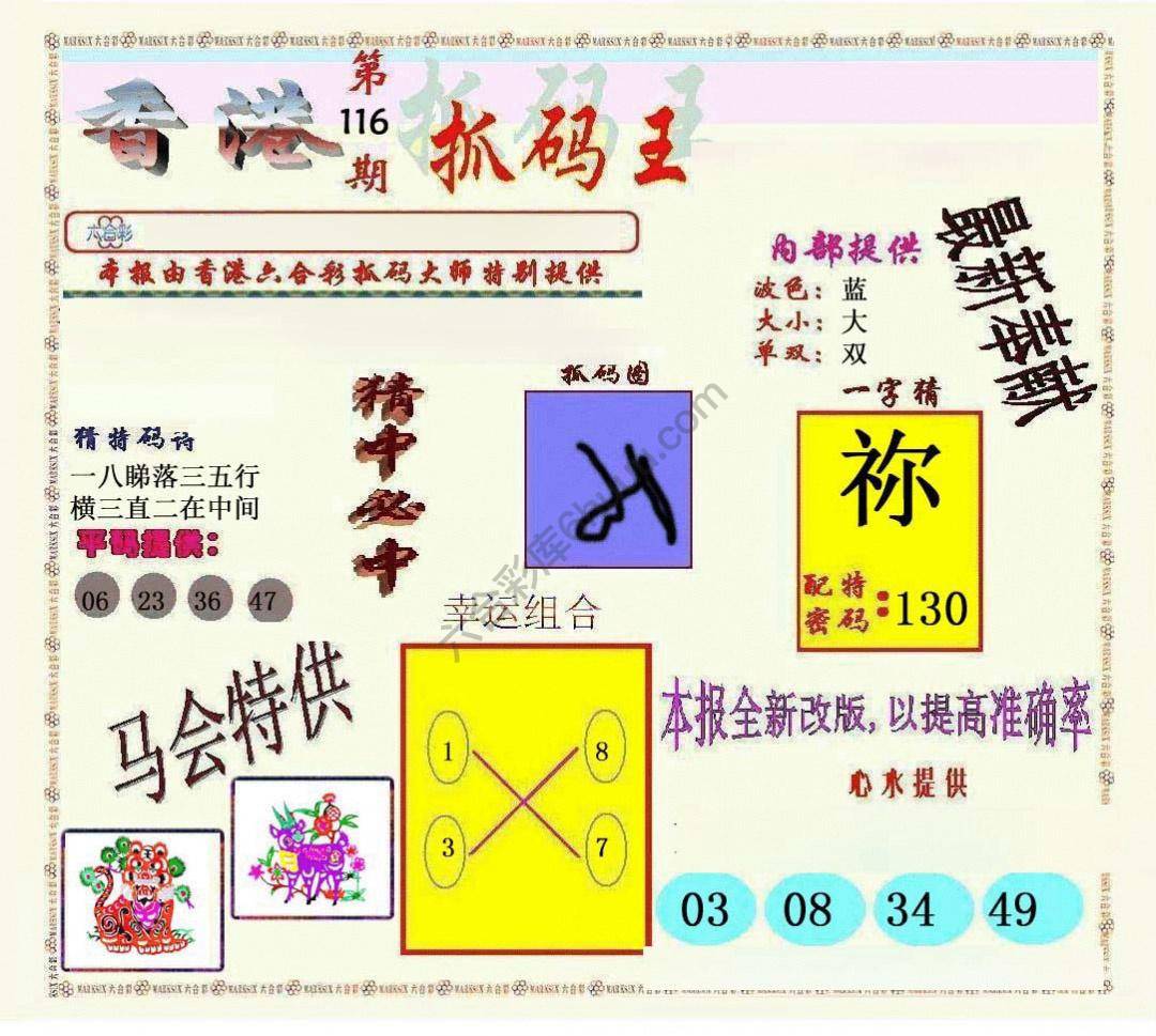 新抓码王
