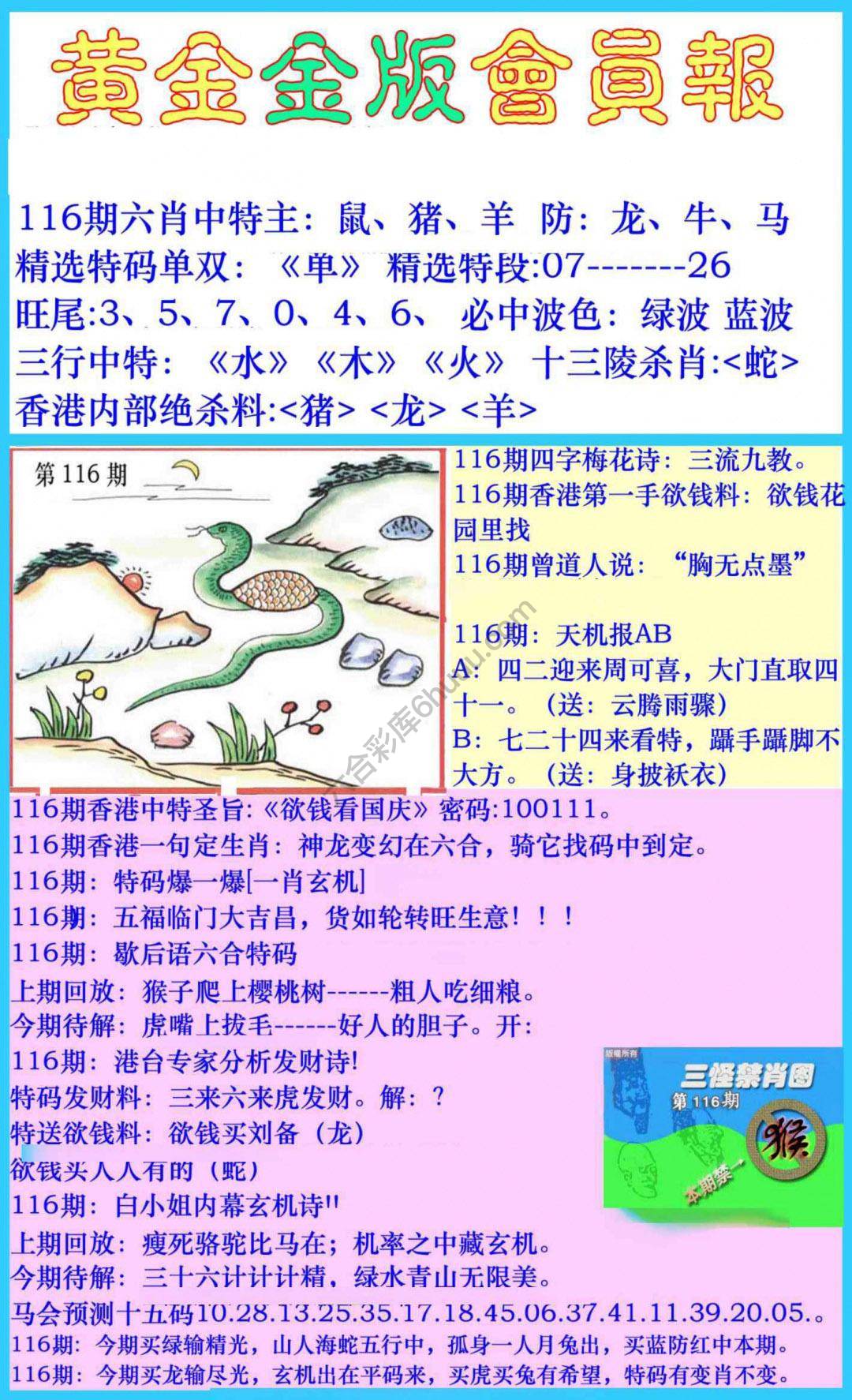 黄金金版会员报