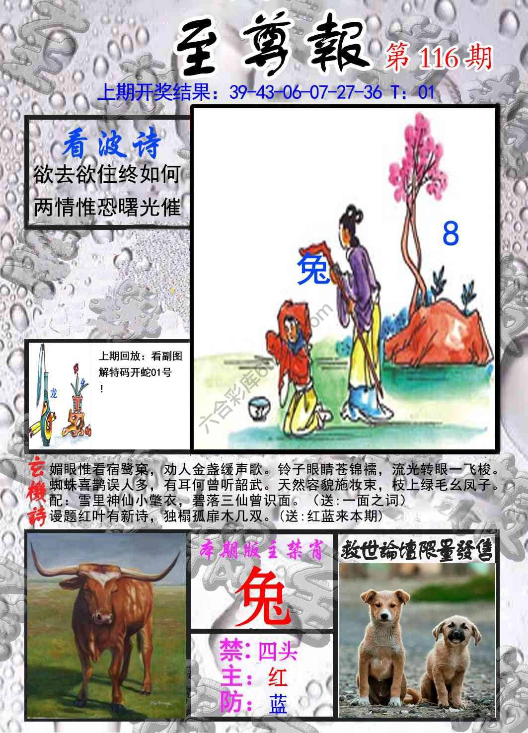 至尊报