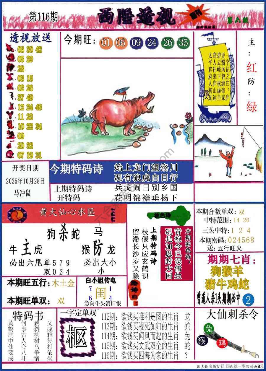 西陲透视（正版）