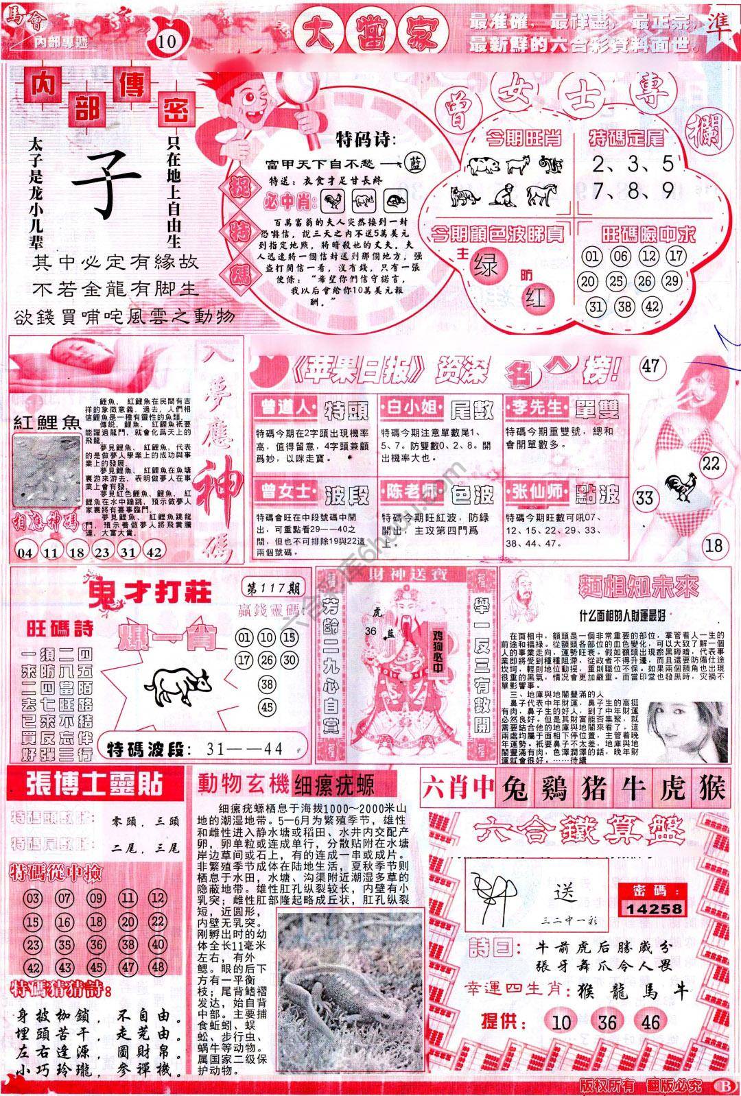 大当家