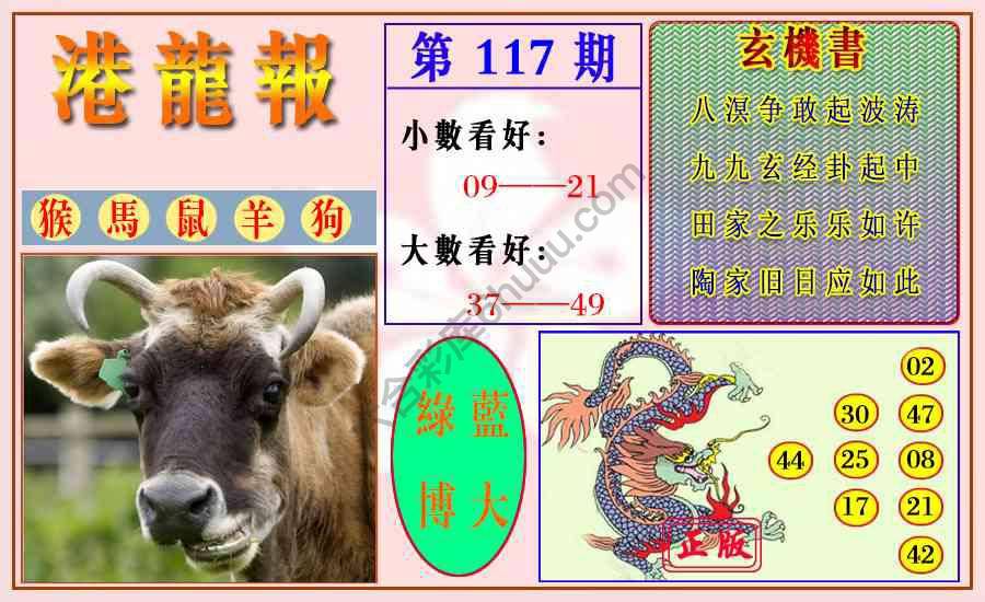 港龙报