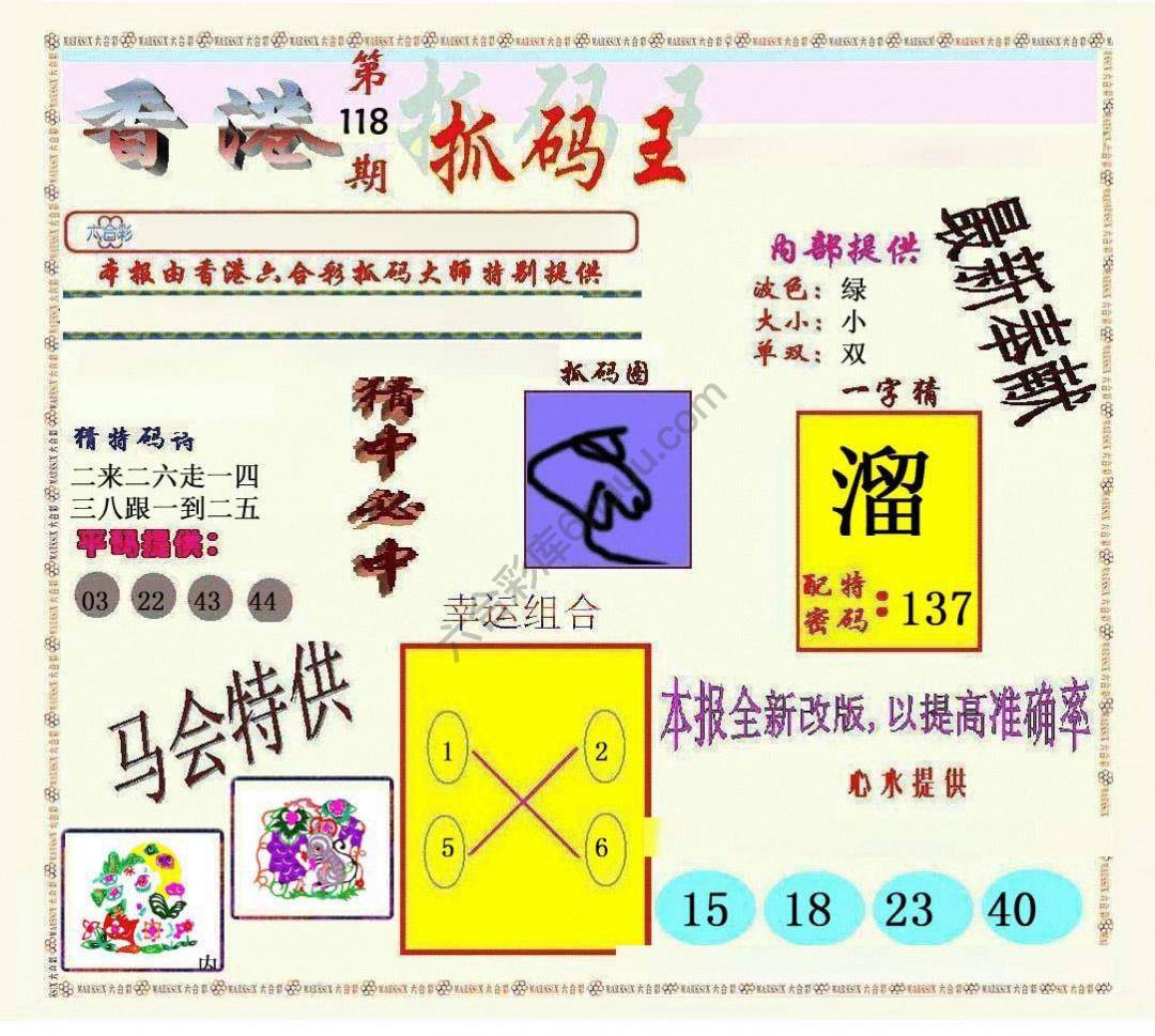 新抓码王