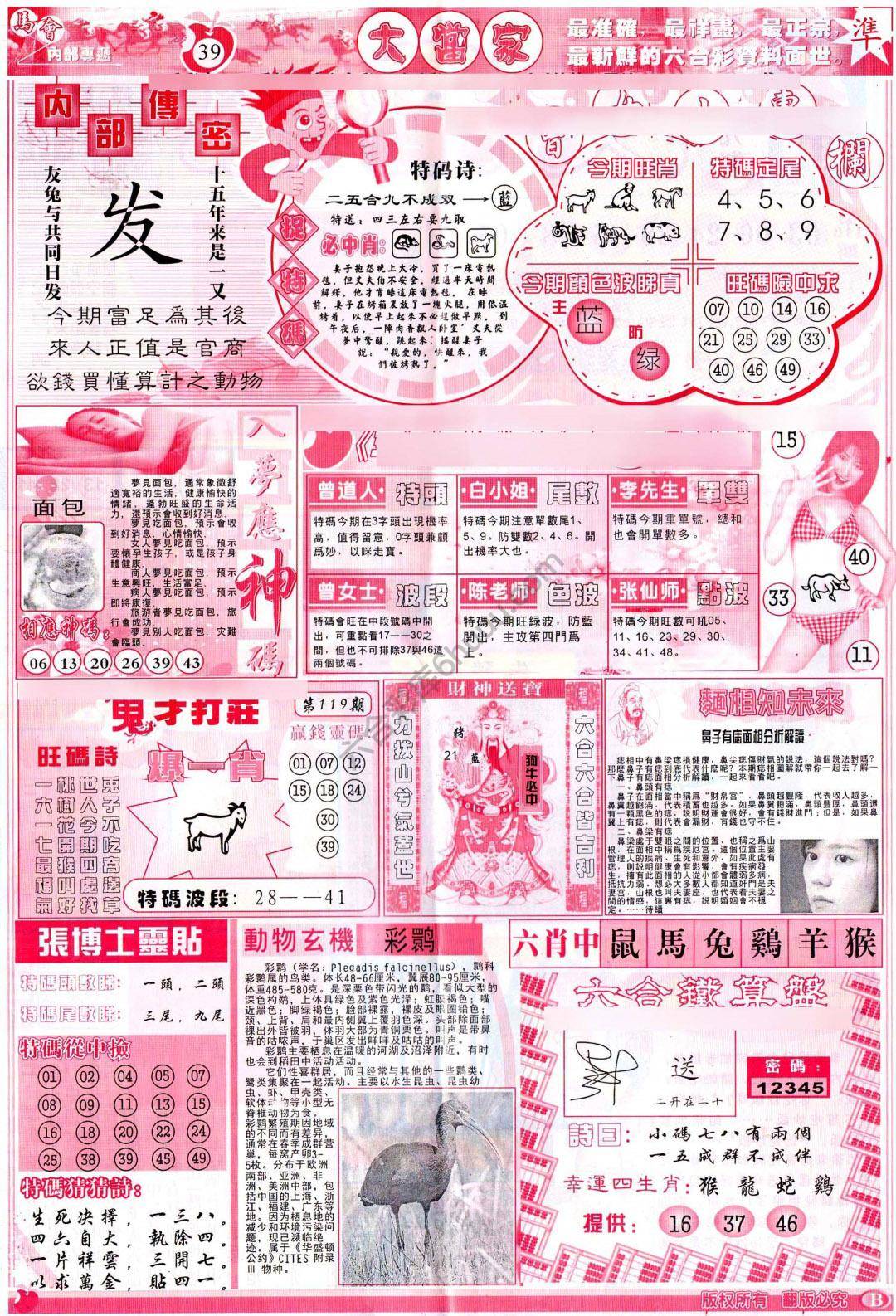大当家