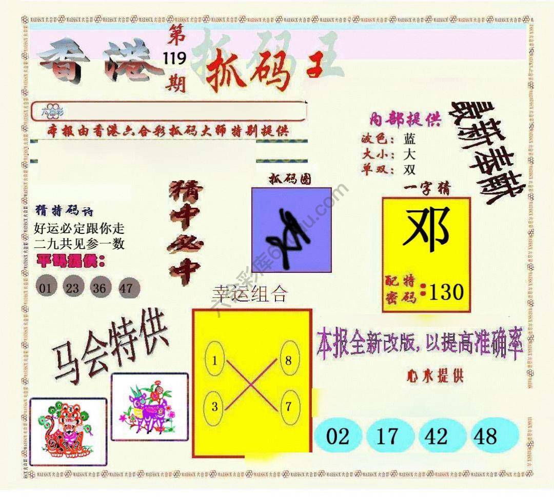 新抓码王