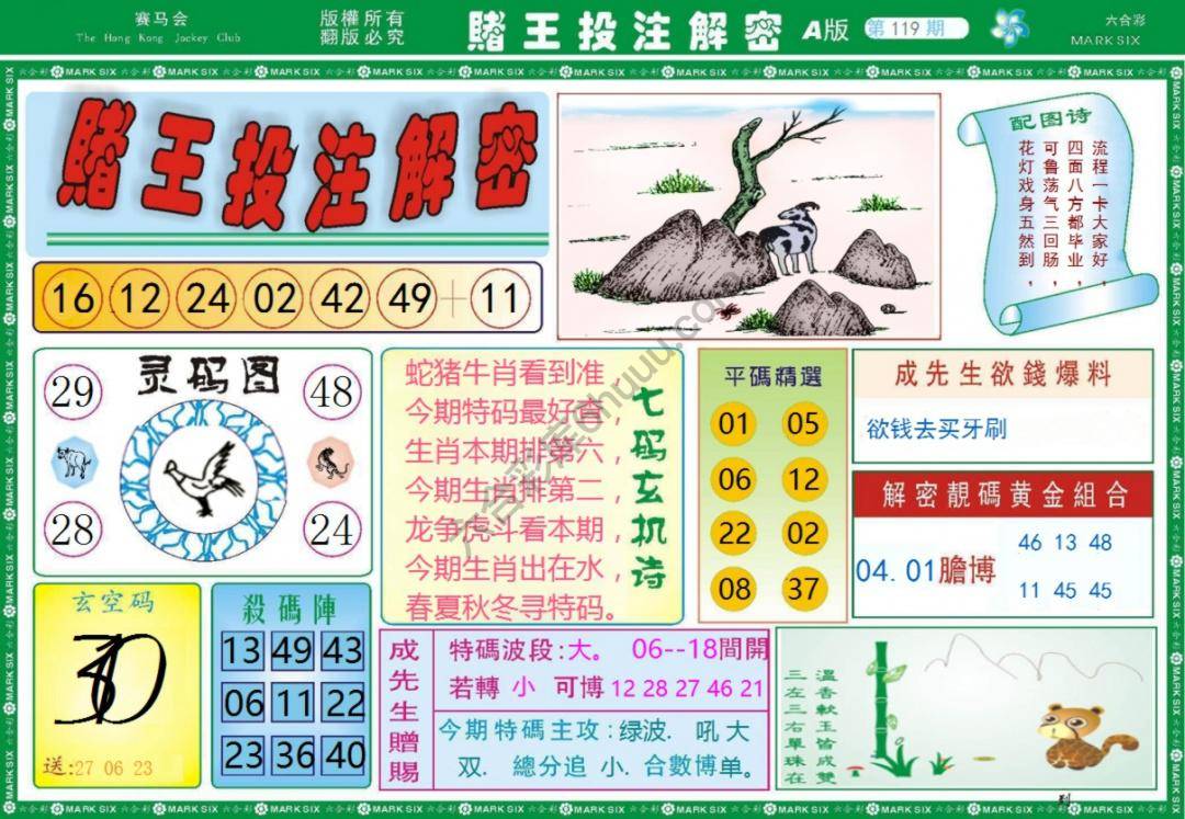赌王投注解密