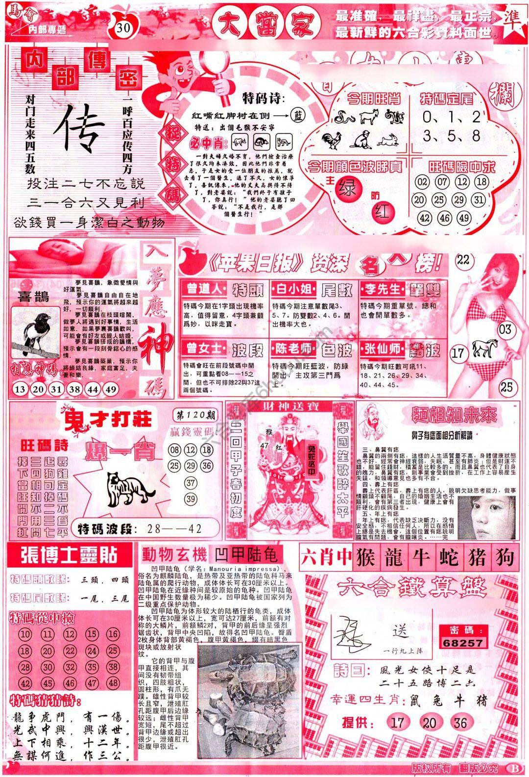 大当家