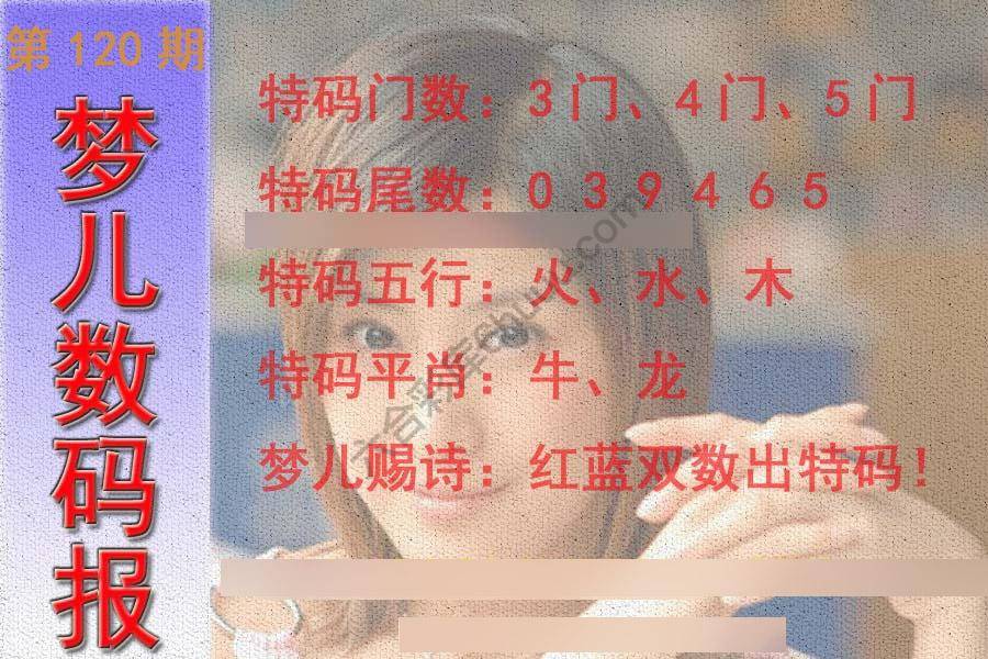 梦儿数码报