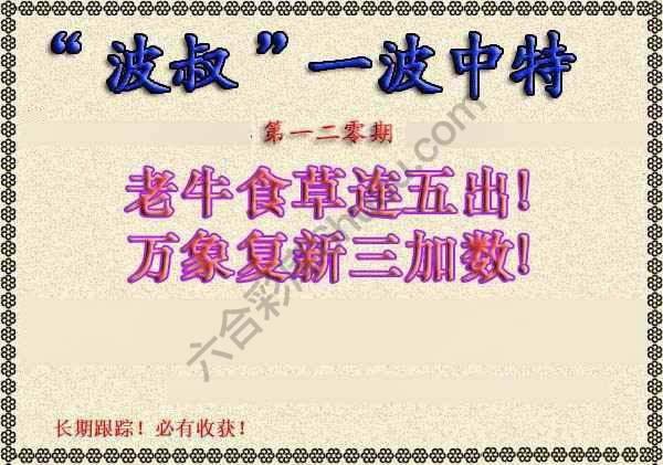 波叔一波中特