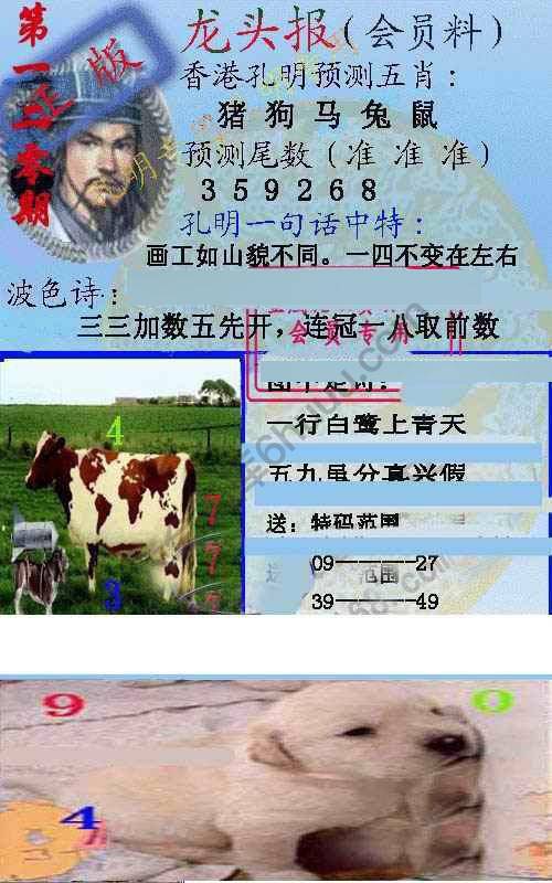 龙头报