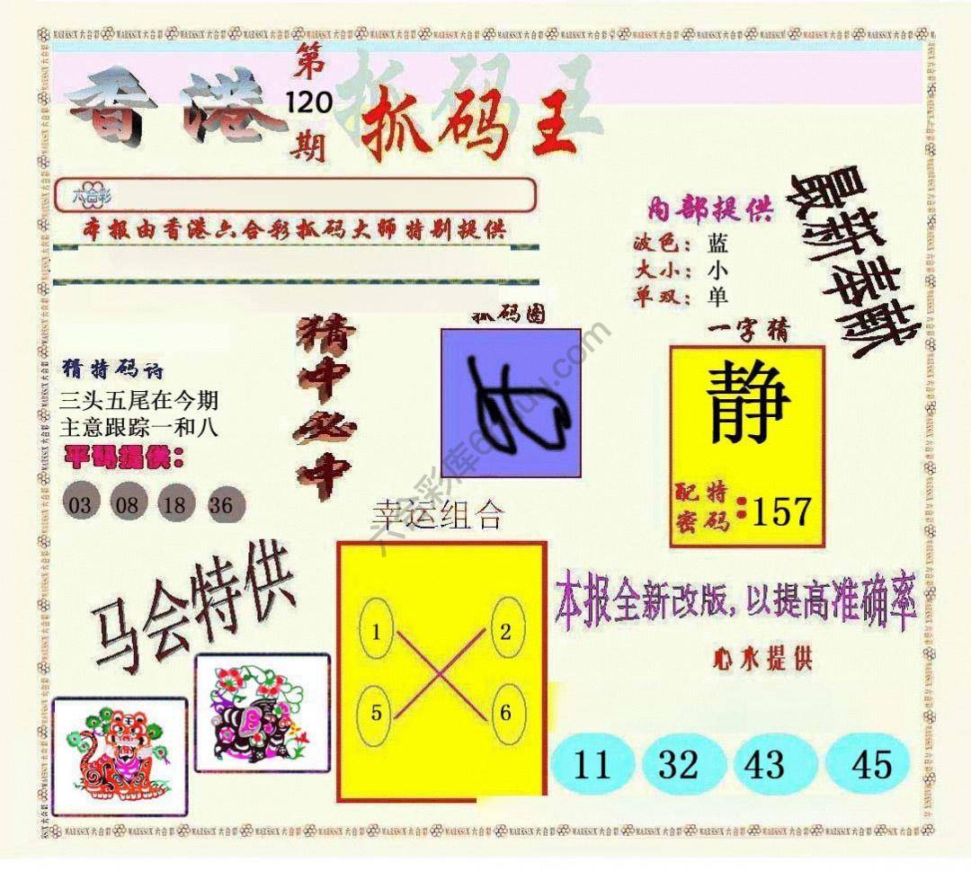 新抓码王