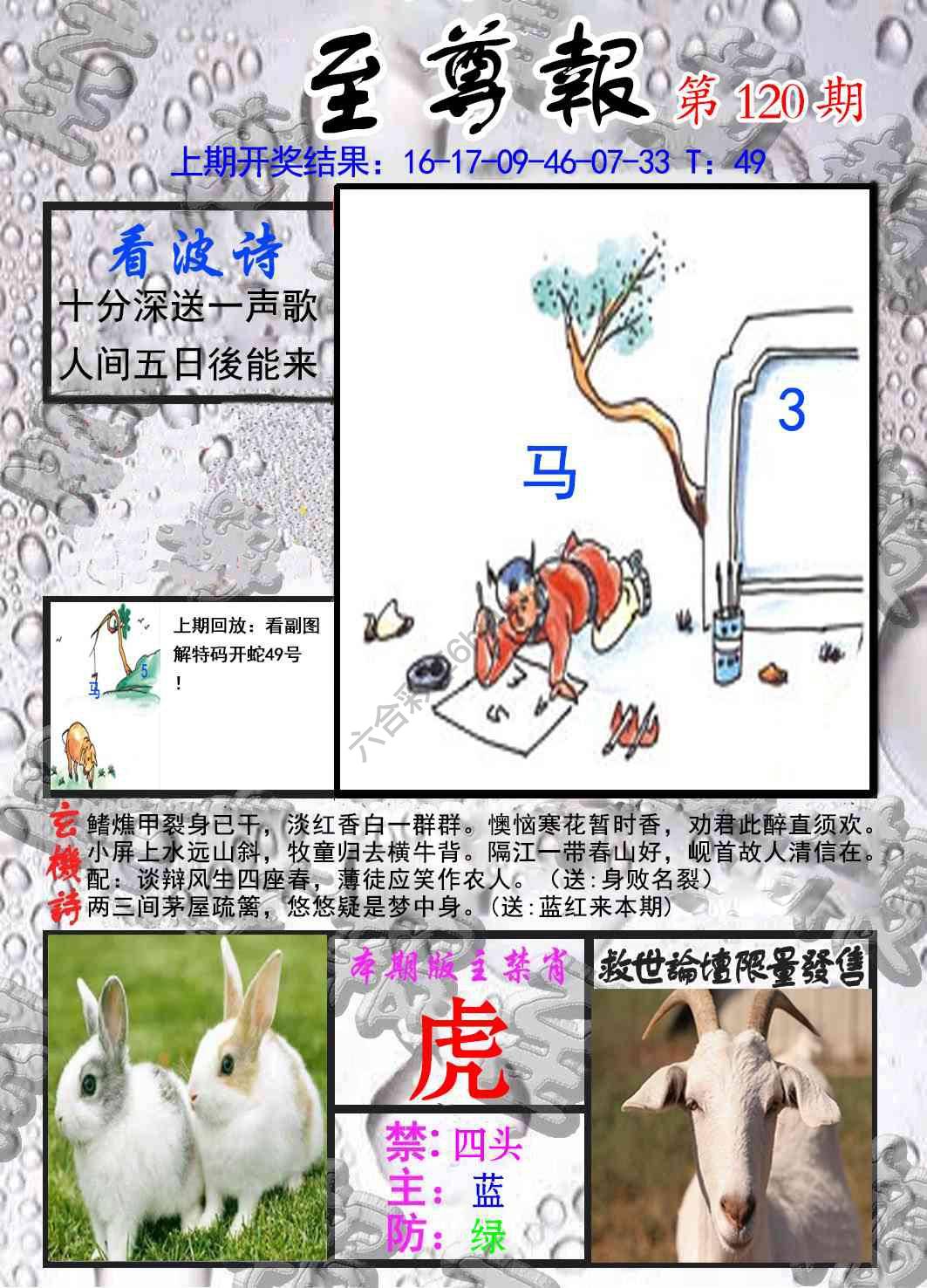 至尊报