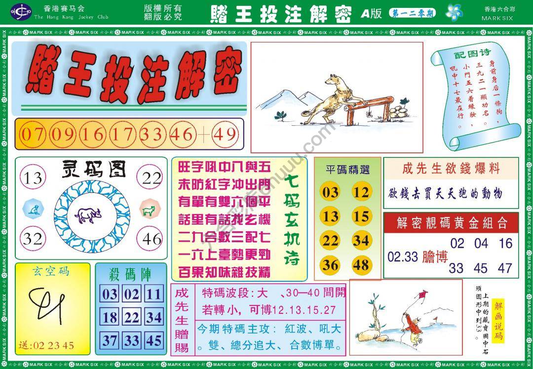 赌王投注解密