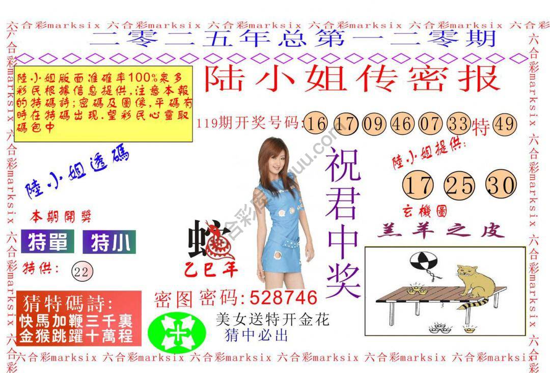 陆小姐传密