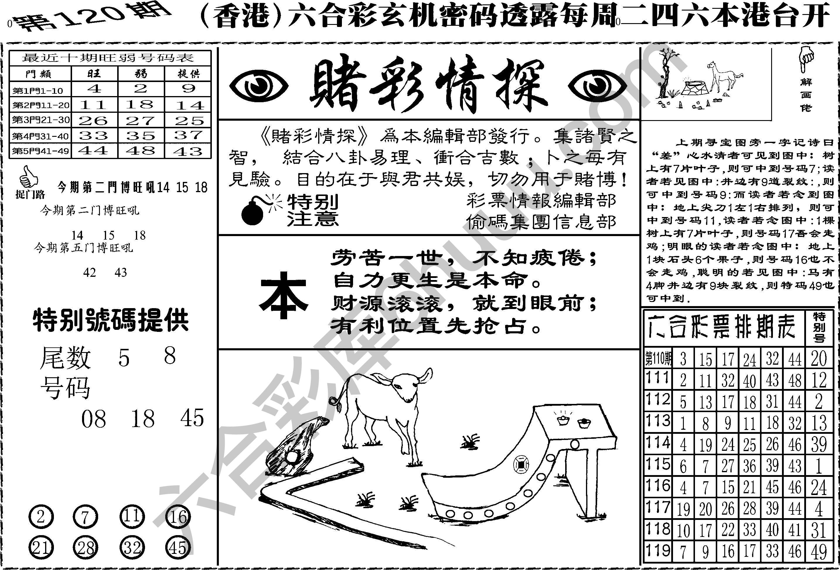赌彩情探