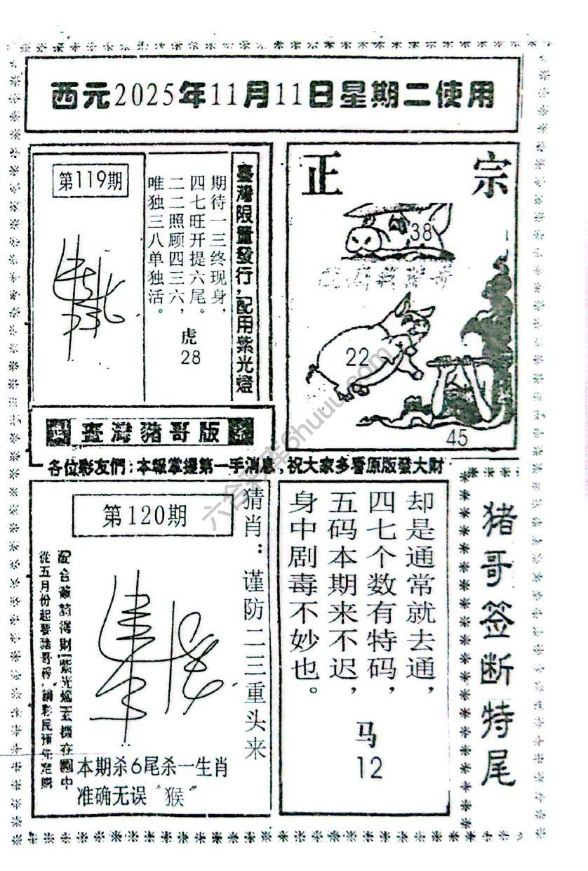猪哥签断特尾