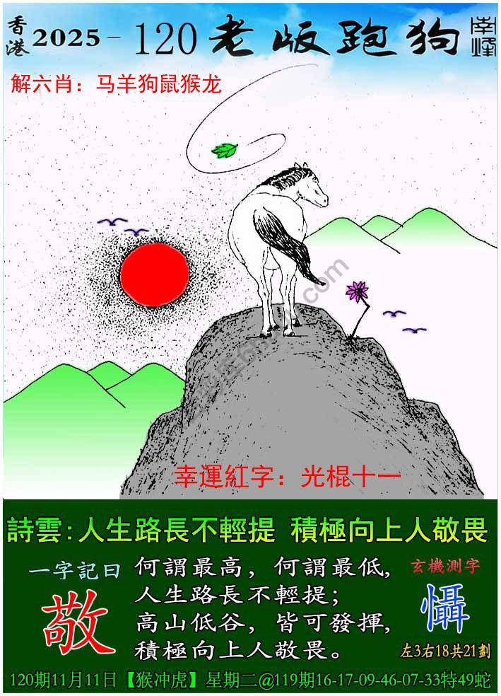 老版跑狗图
