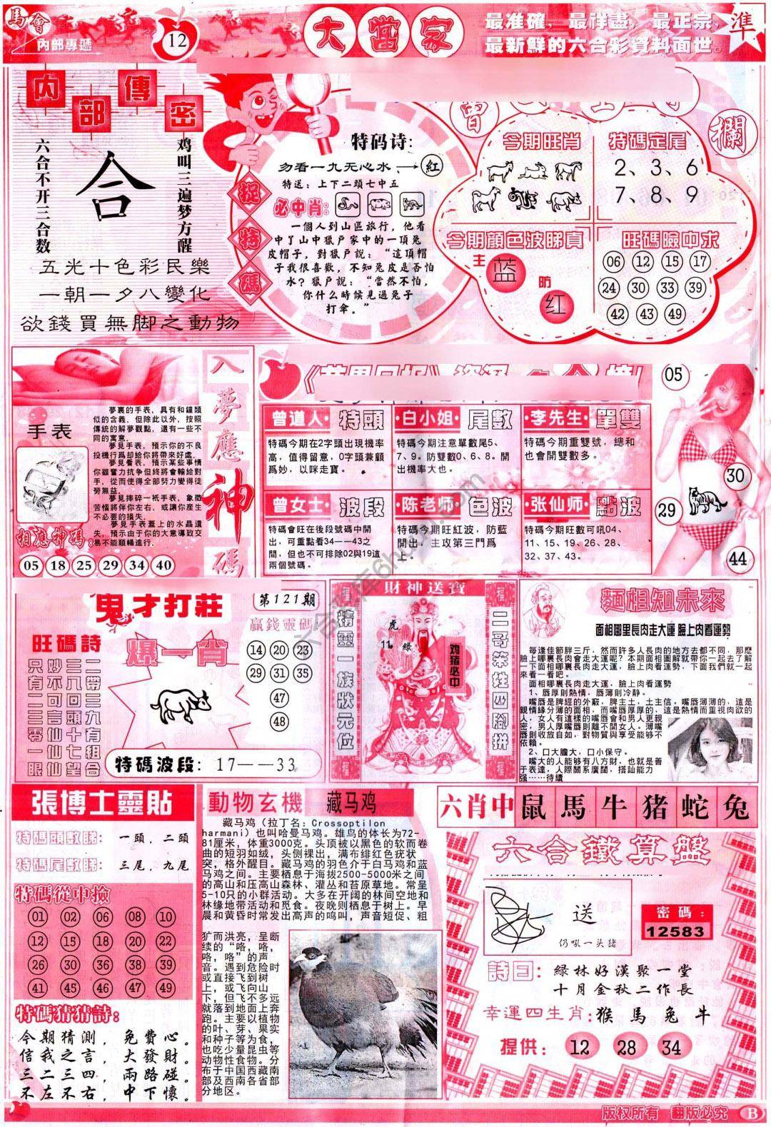 大当家