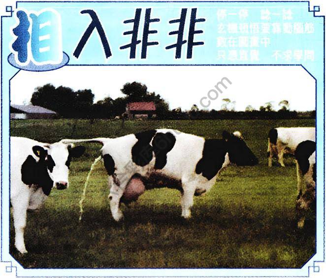 相入非非
