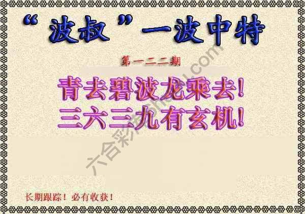 波叔一波中特