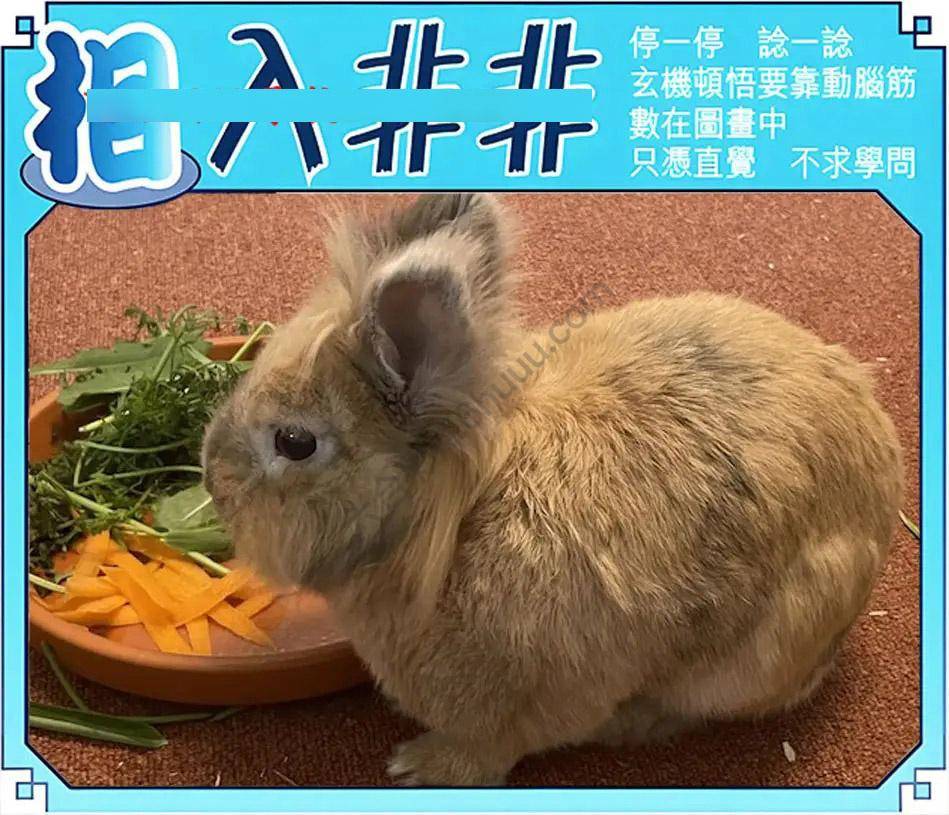 相入非非