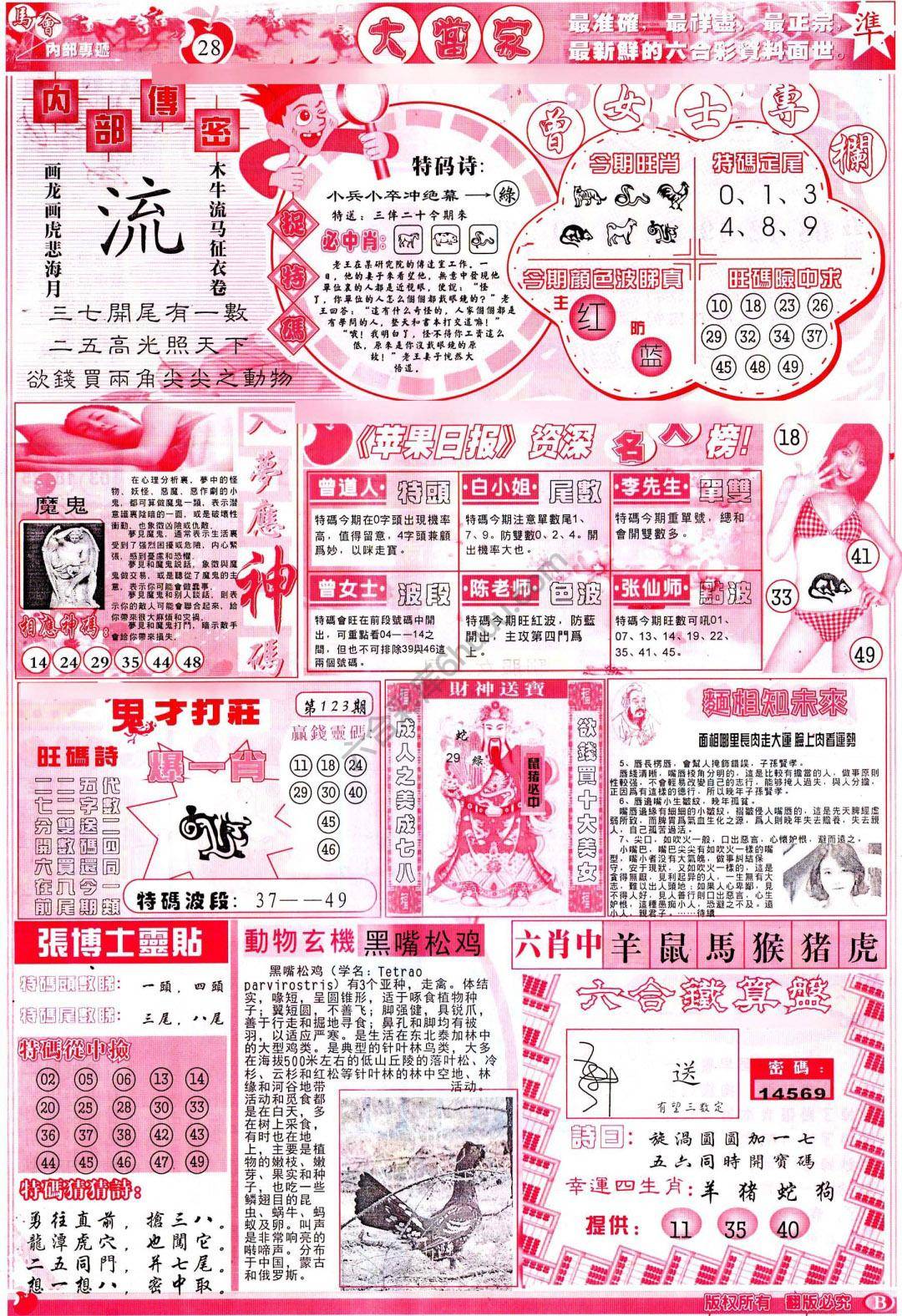 大当家