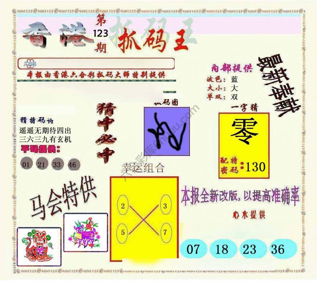新抓码王