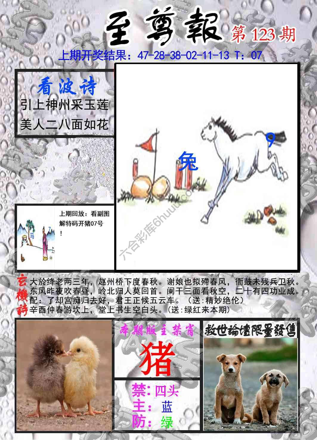 至尊报