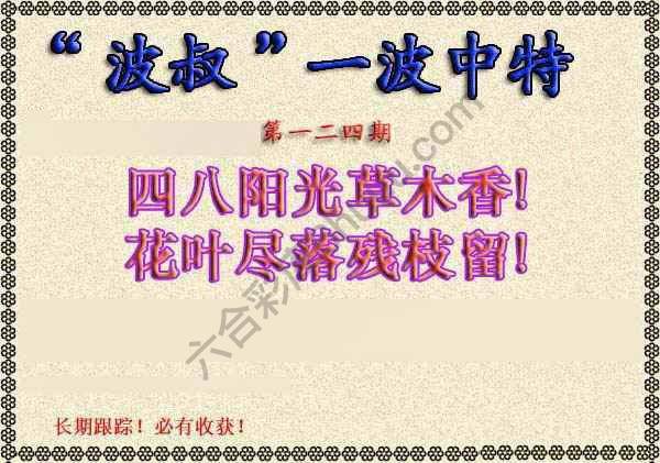 波叔一波中特