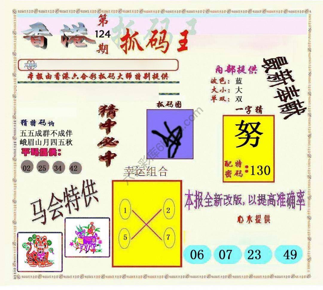 新抓码王