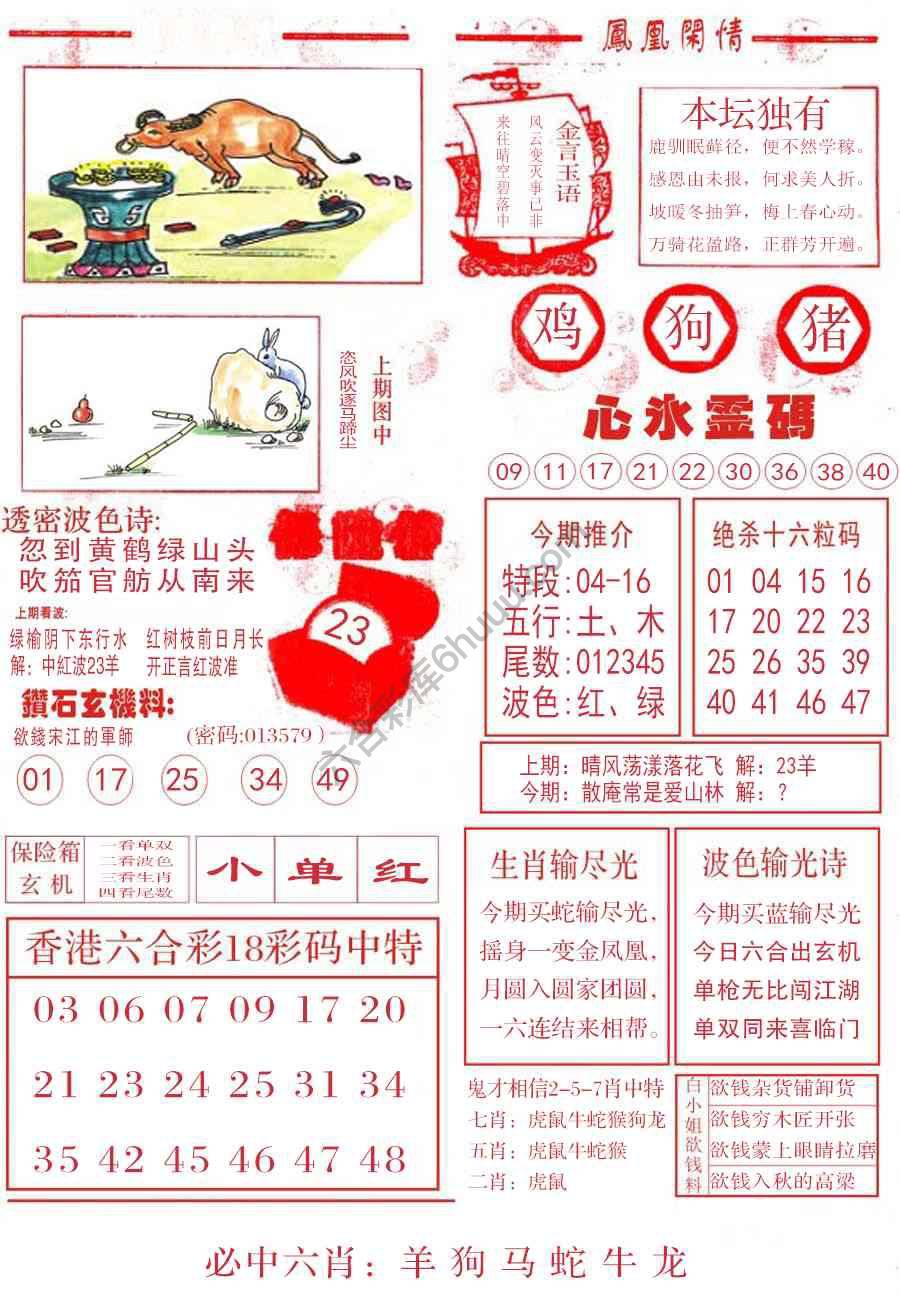 凤凰闲情