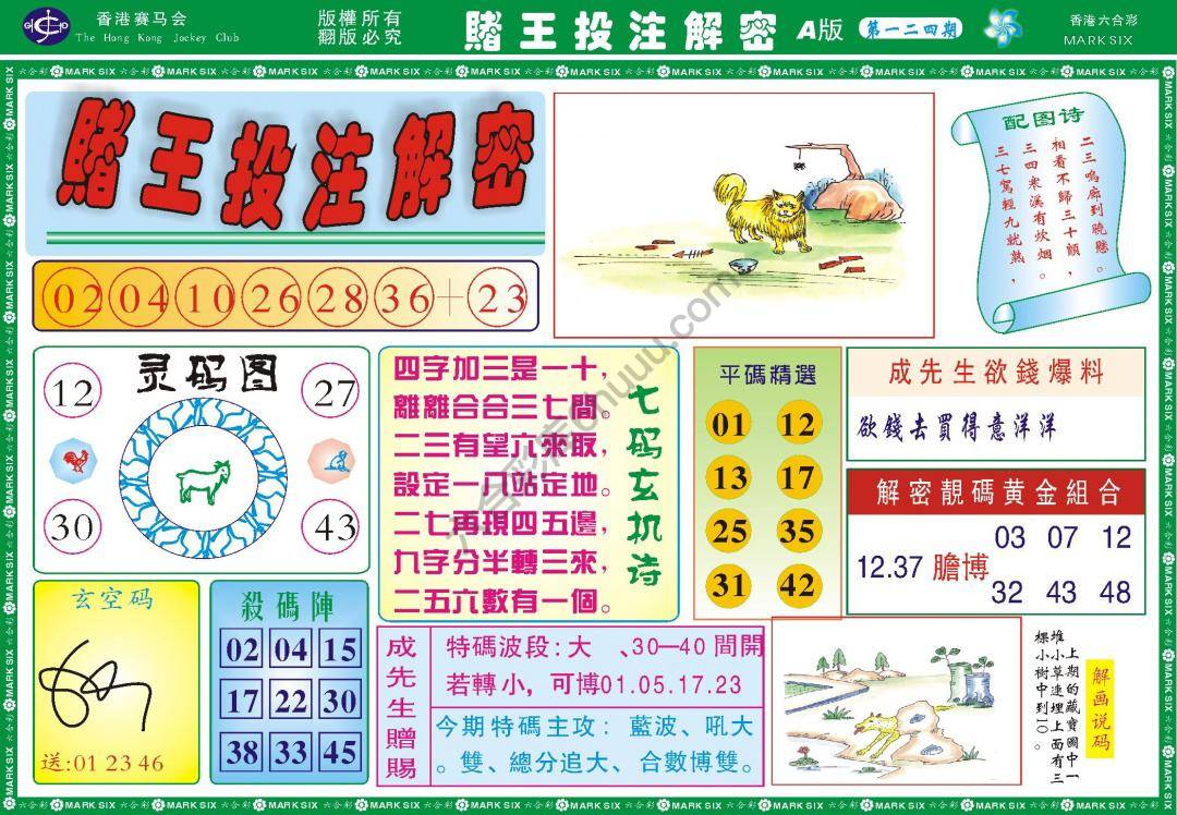 赌王投注解密